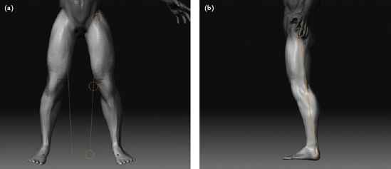 Moving the legs: (a) rotating the leg out, front view, (b) rotating the leg back, side view
