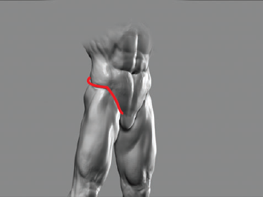 The fow of the Oblique is broken at the iliac crest.