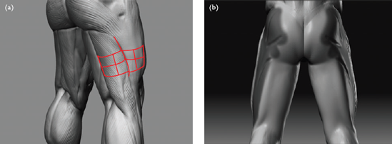 Isolate the TFL and ITB: (a) a discernable shelf where the Vastus lateralis ends beneath the iliotibial band and steps in to the Bicep femoris, (b) this step shown from back