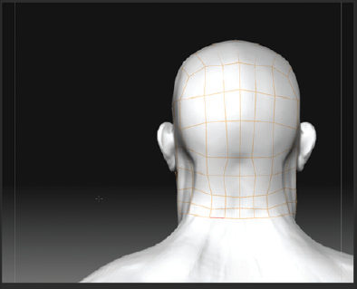 The mesh has been completed down the back of the head.
