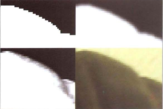 (Top Left) Alpha matte edge produced by Color Key (Top Right) Edge produced by Color Key with a high Edge Feather value (Bottom Left) Edge produced by Linear Color Key (Bottom Right) Close-up of plate