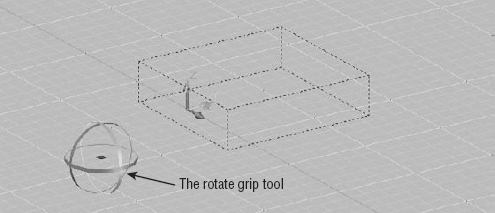 The Rotate Grip tool