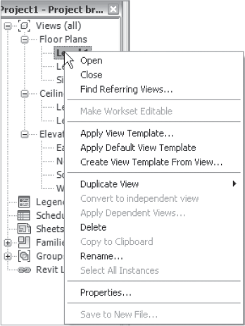 The Project Browser displays the context menu for a view