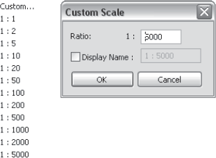 Custom scale options
