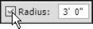 The Radius setting on the Options bar