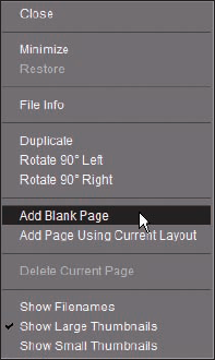 Right-click and then choose an option for adding a page to the photo selected in the Project Bin.