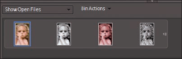 Click one of the thumbnails in the Project Bin to open the respective photo in the image window.