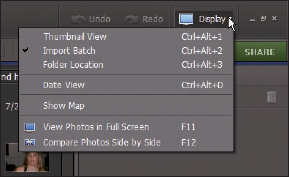 Click Display on the menu bar to see the options for alternative views in the Organizer.