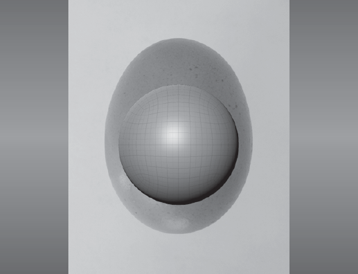 Sphere and egg lined up