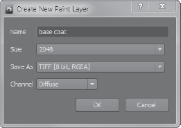 Create New Paint Layer dialog box