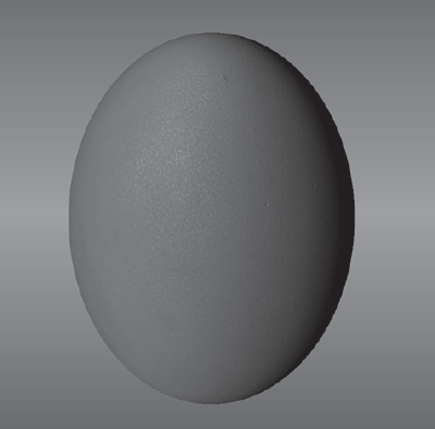 Finished egg model (see color insert)