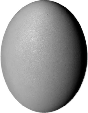 Mudbox render of egg