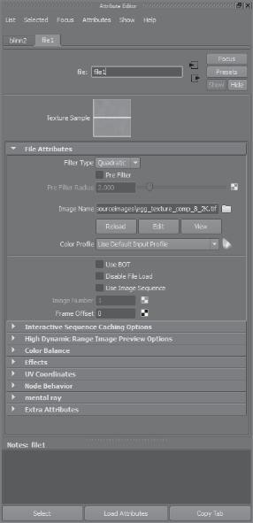 File node attributes