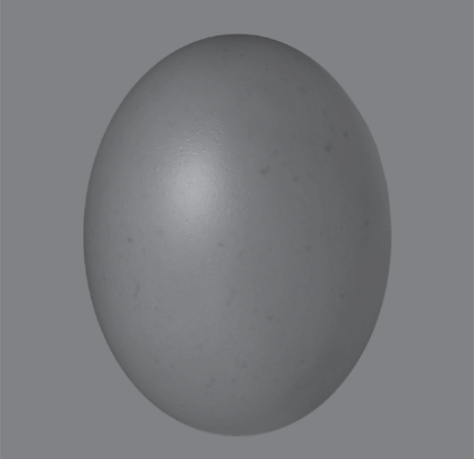 Egg render with displacement map