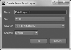 Create New Paint Layer dialog box