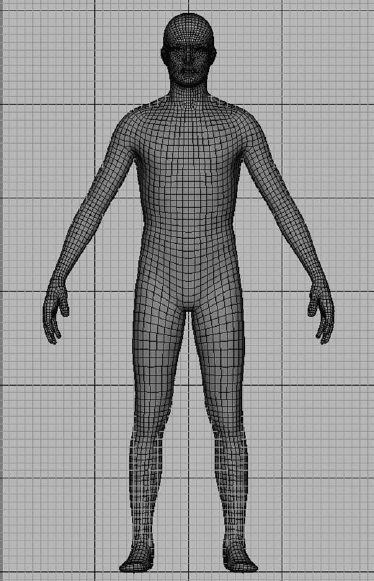 The Human Body mesh scale is approximately 6 feet tall.