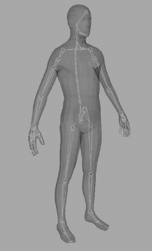 Skeleton rig in Maya