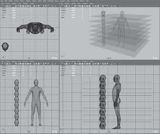 Mudbox Human Body model, eight heads tall and six feet tall