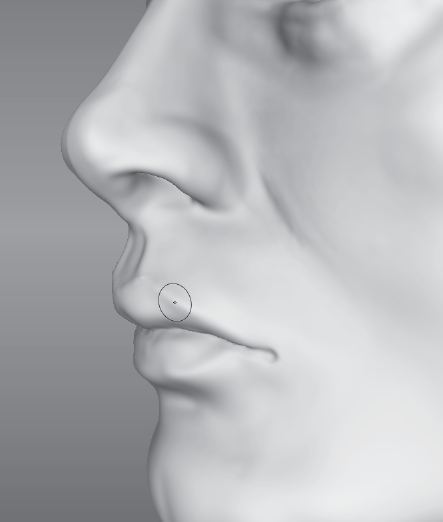 Using the Wax tool with a small size and sharp falloff to sculpt sharp features