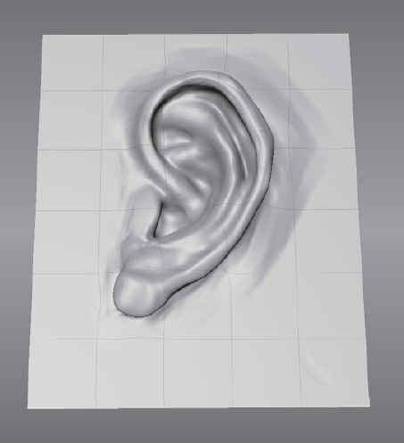 Ear sculpt with seven subdivision levels