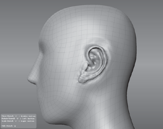 Sculpt the ear shape by using the VDM as a stencil.