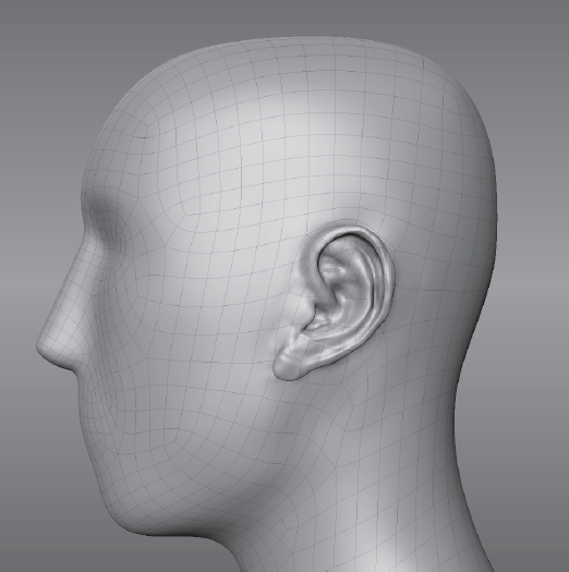 Sculpted ear on the Base Head mesh