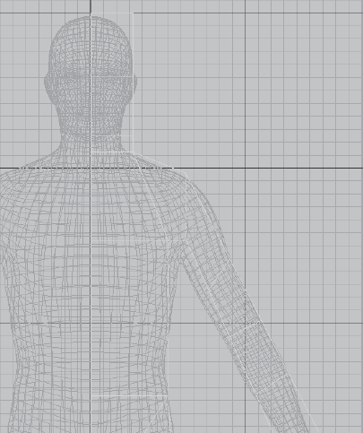 Edge loops added to the torso and head