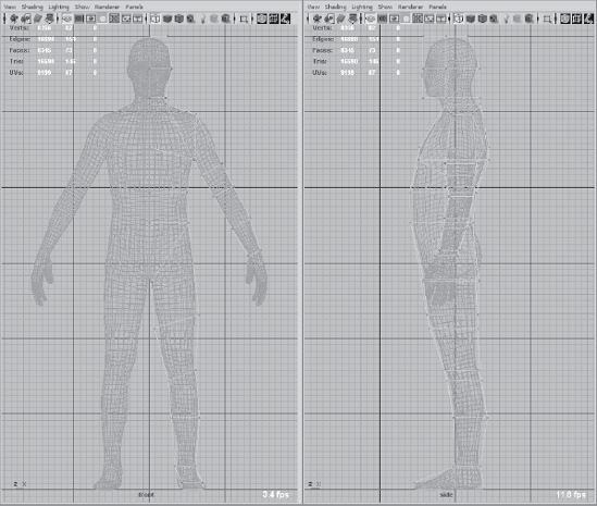 Align vertices to the reference character in the front viewport.