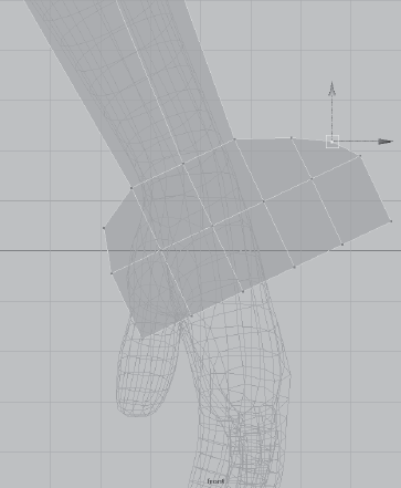 Arrange the vertices of the base of the hand.