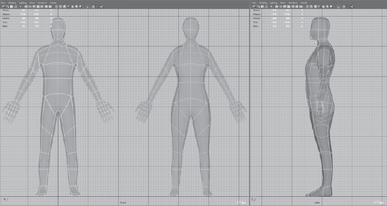 Differences in the male and female base meshes