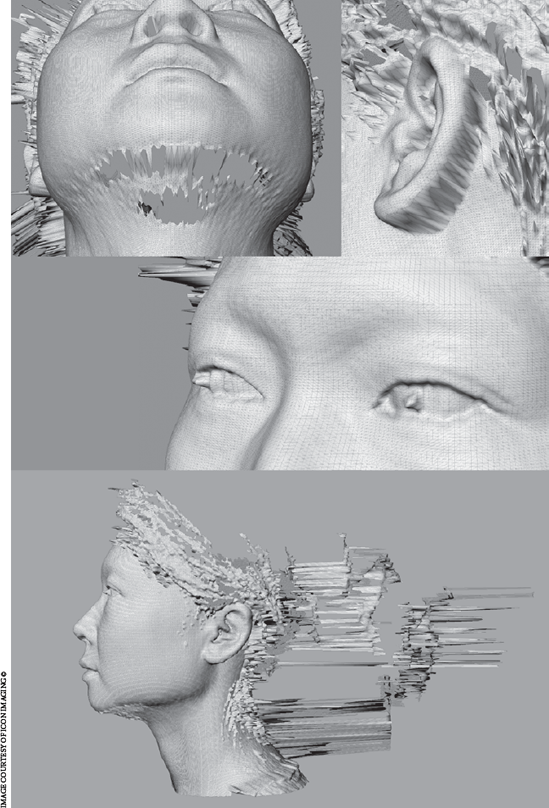 Scans showing a blind-area hole under the chin, anomalies on the ear, and reflective eye and hair