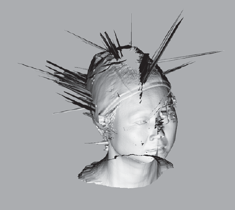 A 3D scan of a head with normals facing inward