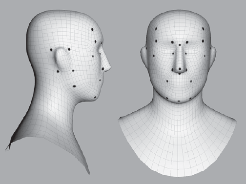 Key alignment landmarks on the face