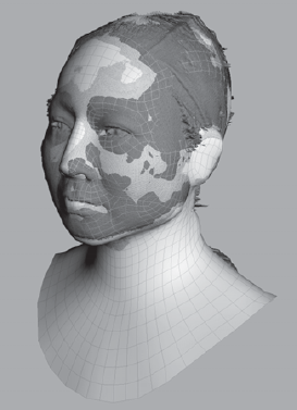 The aligned Basic Head primitive mesh and 3D scan mesh