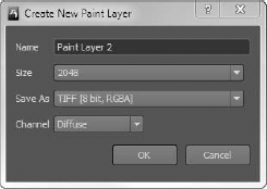 Create New Paint Layer dialog box