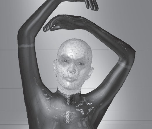 Selected head mesh