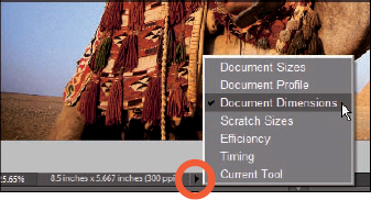 From the pop-up menu on the Information box, you select commands that provide information about your file.