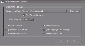 The Full Screen View Options dialog box.