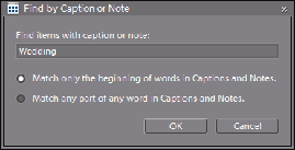 Choose FindBy Caption or Note to open the dialog box in which search criteria for captions and notes are specified.
