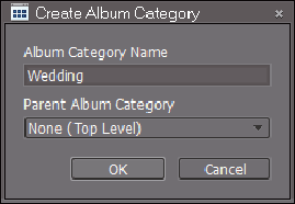 Type a name for your new Album Group in the Create Album Category dialog box.