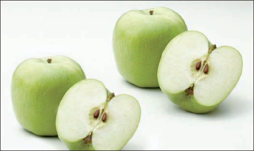 Our twin apples are the products of cloning.
