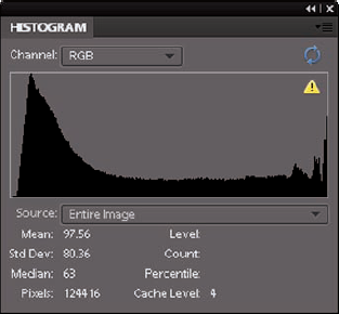 The Histogram panel displays how pixels are distributed at each of the 256 brightness levels.