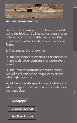 Click one of the buttons to convert to black and white.