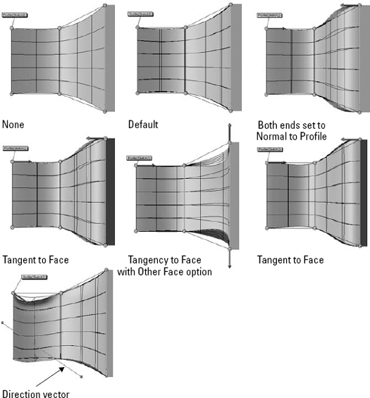 Examples of end constraints