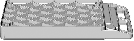 A plastic tray with a large number of fillets