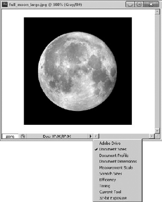 The information section of the document window can be very useful when you are editing images. The menu allows you to display several types of information.