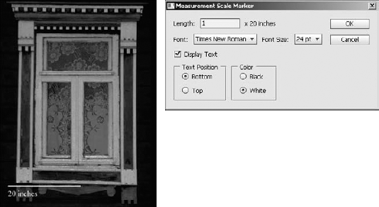 Placing a scale marker in your image allows you to clearly see the scale of the image.