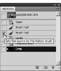 Selecting the History Brush option for a history state enables the History Brush, the Art History Brush, and the Eraser to utilize the history data.