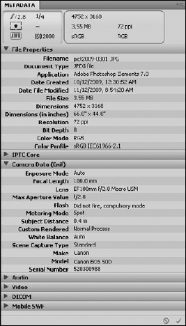 Viewing the metadata for an image file in Bridge