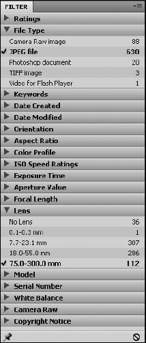 Filtering the list of files in the Filter panel using metadata contained in the files